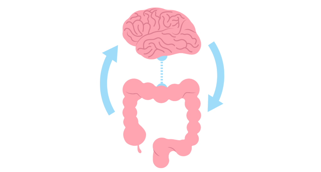 Schematische Darstellung der Darm-Hirn-Achse bei Bauchschmerzen