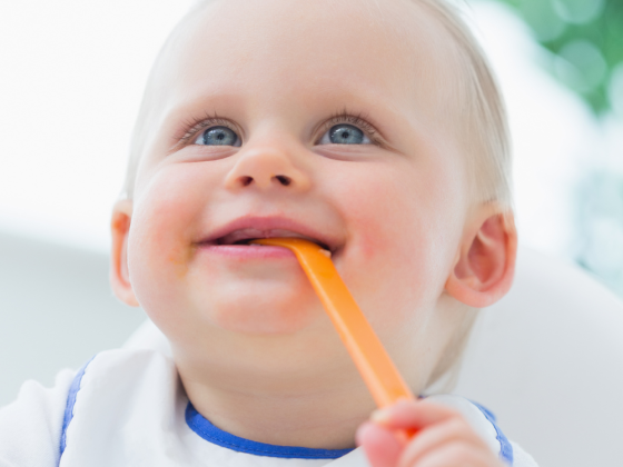 Babys erster Löffel: der Beikost Workshop hilft mit der Praxis